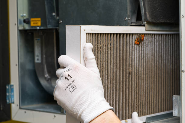 Best Emergency Air Duct Cleaning  in Sebastopol, CA