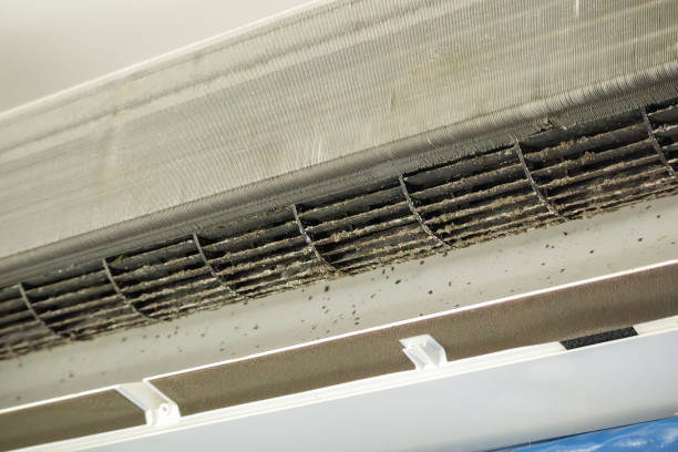 Best Air Duct Cleaning Near Me  in Sebastopol, CA